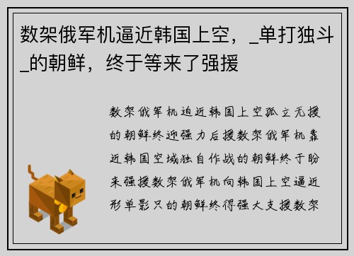 数架俄军机逼近韩国上空，_单打独斗_的朝鲜，终于等来了强援