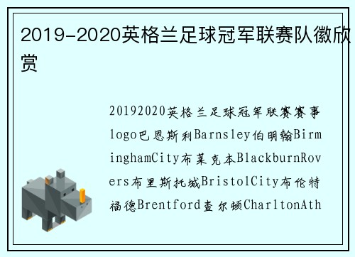 2019-2020英格兰足球冠军联赛队徽欣赏